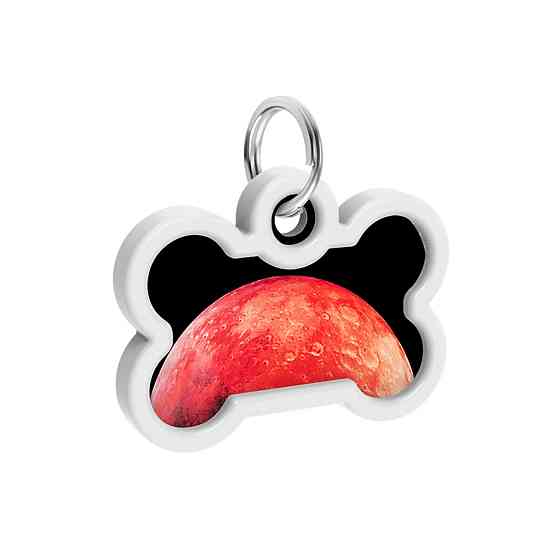 Адресник для собак і котів металевий WAUDOG Smart ID з QR паспортом, малюнок "Марс", кістка, Д 40 мм, Ш 28 мм Київ