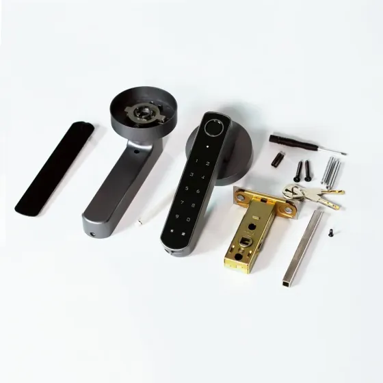 Замок біометричний автономний Trinix TRL-5205BTF Tuya Grey з Bluetooth і зчитувачем відбитків пальців (65-00069) Киев