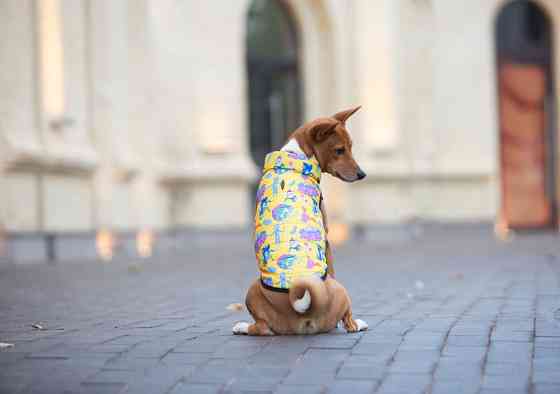 Курточка для собак WAUDOG Clothes малюнок "Рік та Морті 3", L65, В 87-90 см, С 60-65 см Коломыя