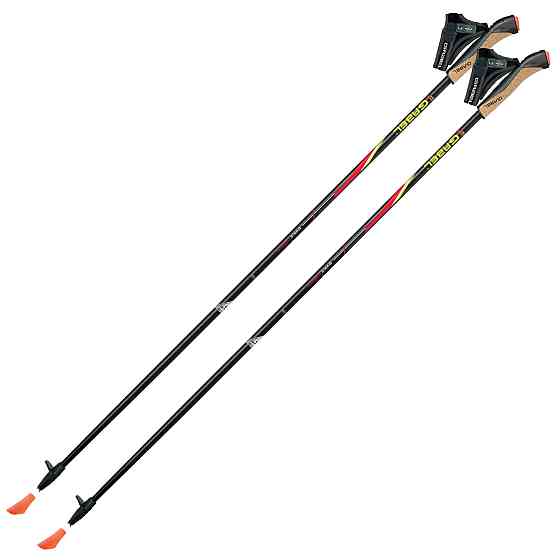 Палки для скандинавской ходьбы Gabel FX-75 Snake Carbon 135 Dual Spike (7008351011350) Вінниця