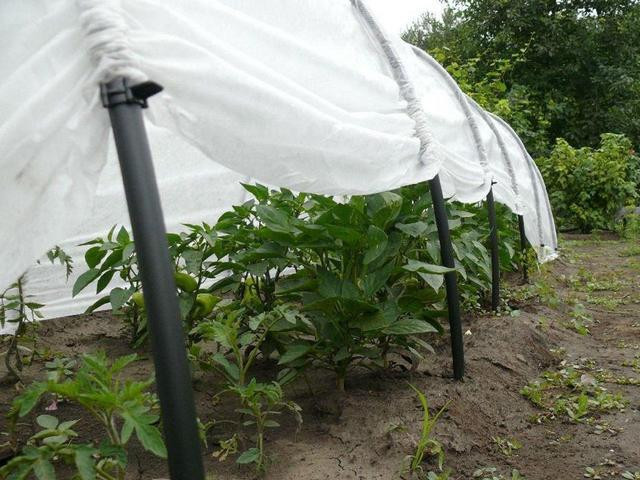 Теплица 15 м 60г/м2 Shadow готовый дуговой парник Днепр - изображение 4