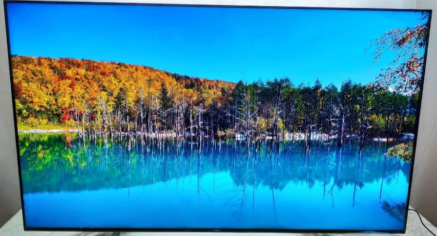 Телевизор Безрамный: 65