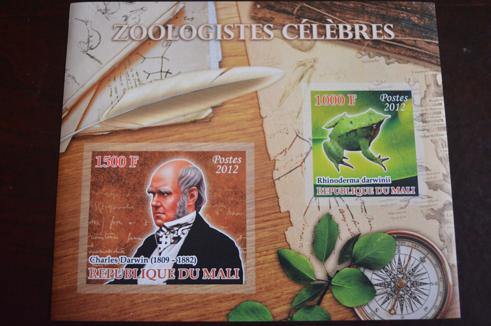 Мали. Історія. Личности. Блок. 2014 рік (А-30) Полтава - фото 1