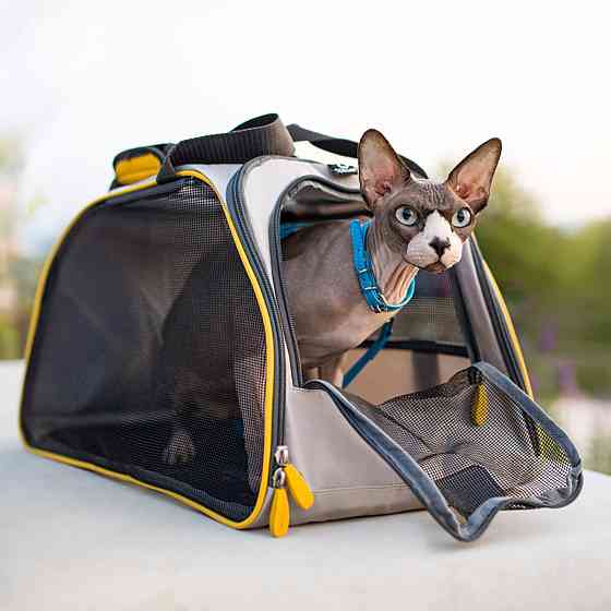 Сумка-переноска COLLAR 48*30*27 Київ