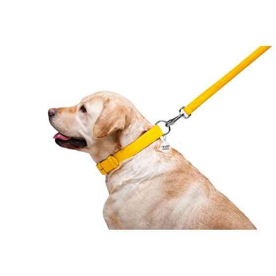 Повідець для собак шкіряний WAUDOG Glamour, Ш 25 мм, Дов 122 см жовтий Коломия