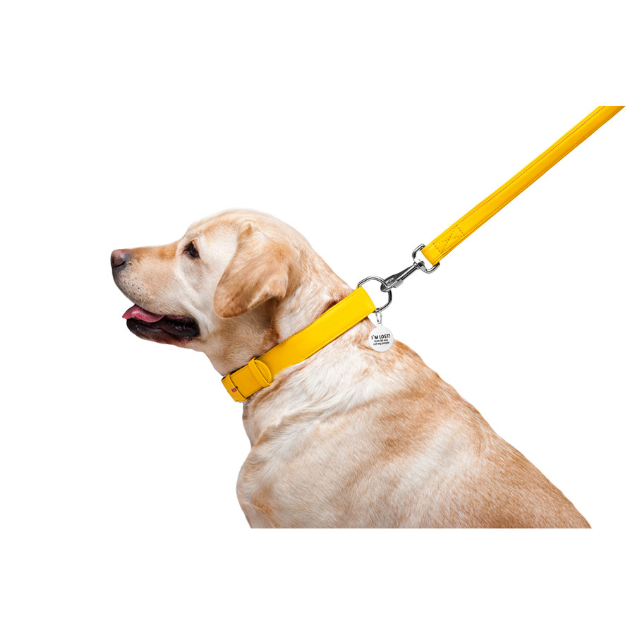 Повідець для собак шкіряний WAUDOG Glamour, Ш 25 мм, Дов 122 см жовтий Коломия - фото 2