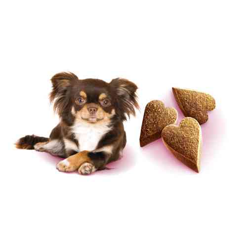 Ласощі Brit Care Mini Treats Mood для собак малих порід проти стресу ягня смак ваніль 50 г Київ