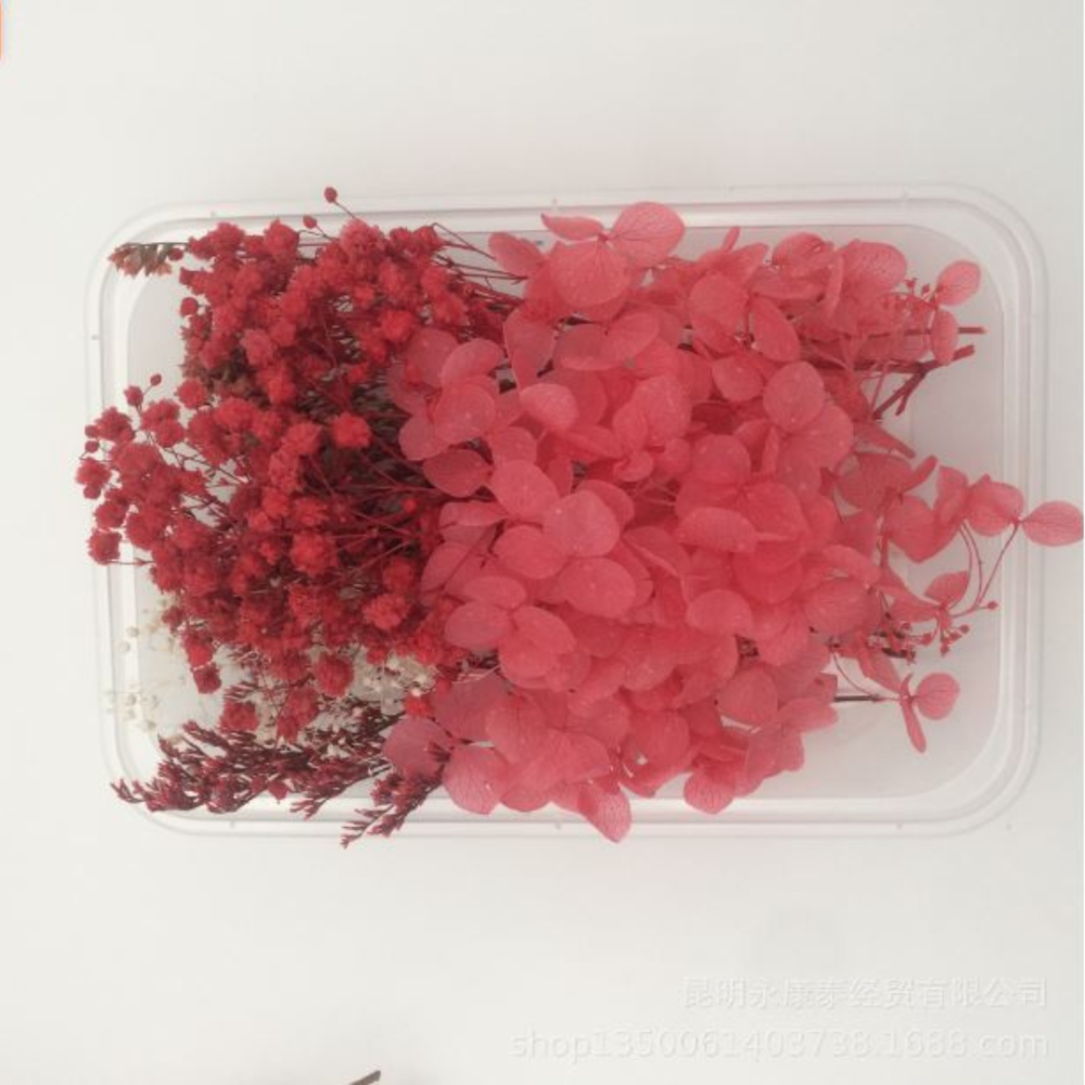 Стабилизированные ветки и цветы для мини-сада, микроландшафта, цветочных композиций, флорариума Одесса - изображение 6