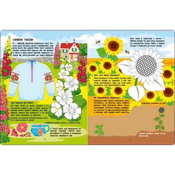 Развивающая тетрадь 