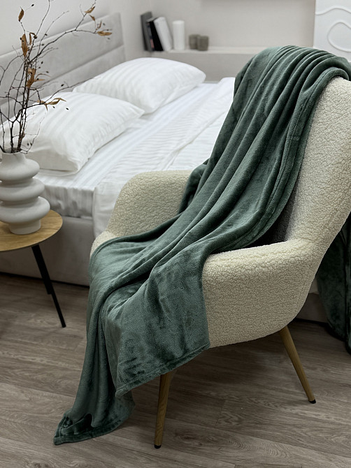 Ecotton Плед Ecotton 200х220 см Well Soft пудровий зелений (17-0112 Matte green) Коломия - фото 10