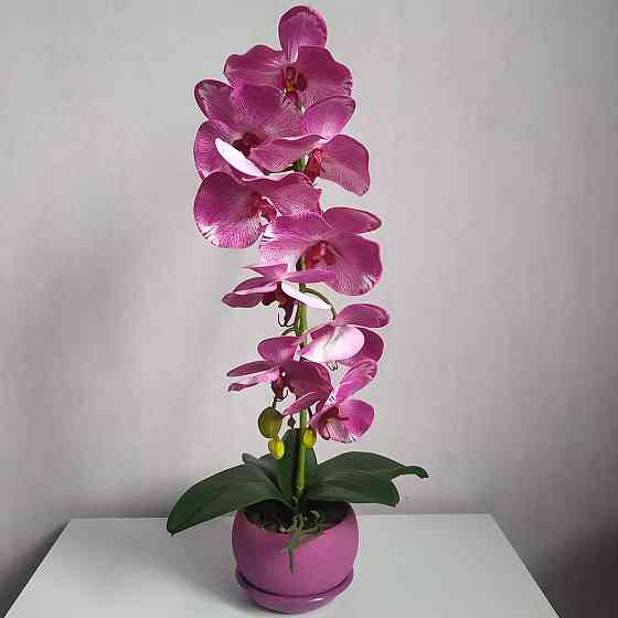 Штучна латексна орхідея VIP у бузковому керамічному кашпо на одну бузкову гілку Дніпро