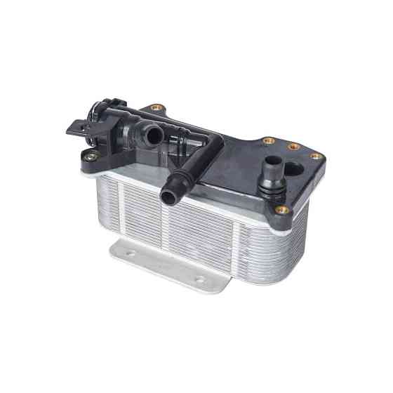 Радиатор маслянный (теплообменник), BMW,  17217618778; 17217638582, Бренд: SRLine Киев