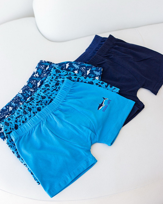 Набір підліткових боксерів на хлопчика з 5 шт. Tom John 541305 12-13 Київ - фото 1