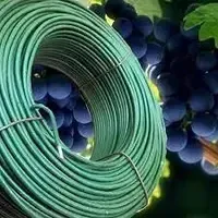 Дріт садовий у ПВХ покритті 1.6/2.5 мм 100 м для виноградної лози (виробництво Польща) Харків - фото 7