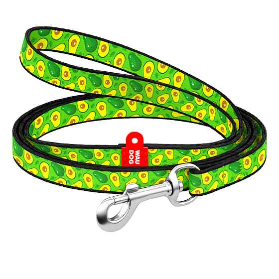 Повідець для собак нейлоновий WAUDOG Nylon, малюнок "Авокадо", Ш 10 мм, Дов 122 см Коломия