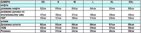 Жіночий спортивний велюровий костюм Чорний XS Харків