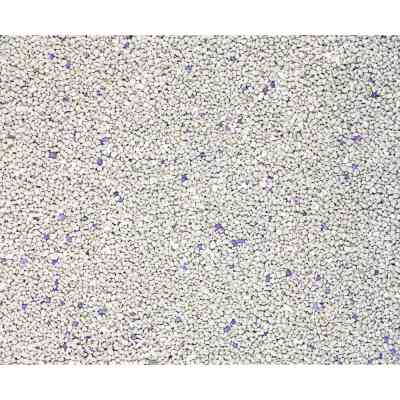 Наповнювач для туалету Catfun бентонітовий з ароматом лаванди 5 л (8683655071452) Вінниця