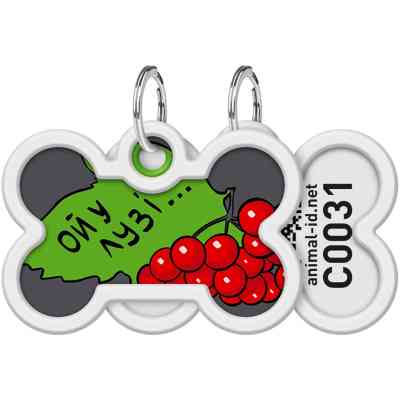 Адресник для животных WAUDOG Smart ID с QR паспортом "Калина", кость 40х28 мм (0640-0228) Винница