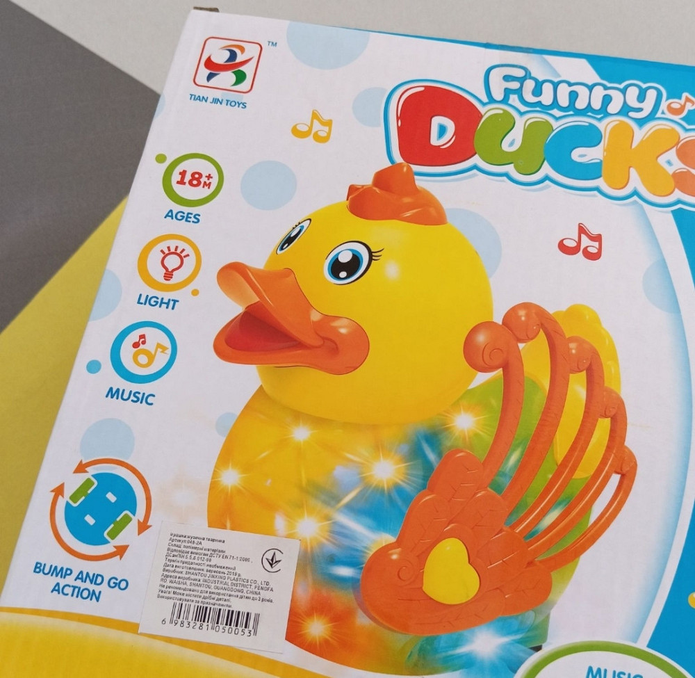 Музичне каченя Київ - фото 4