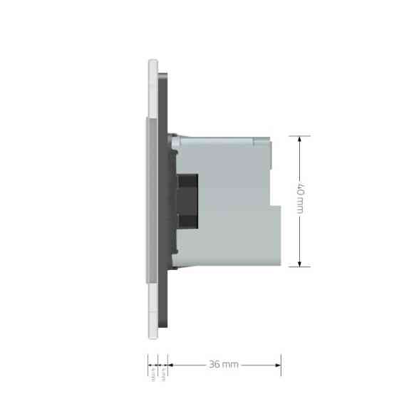 Радіокерована (дистанційна) розетка з пультом LIVOLO, сіра, з заземленням та захисними шторками, керування зі смартфона, Alexa, Google Home, 16А 230В  Коломия