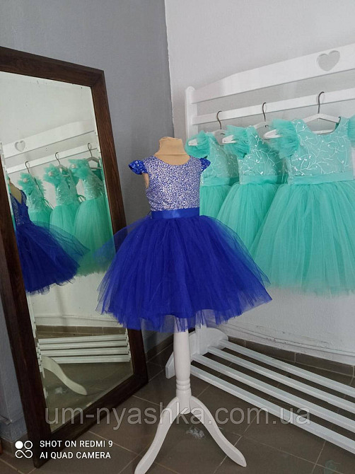 Пышное нарядное синее платье на девочку на 3-5 лет Кривой Рог - изображение 3