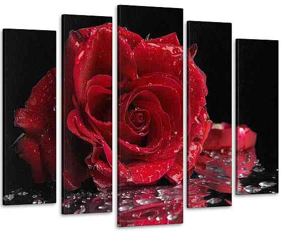 Модульная картина Роза Art-97_5 110x160 см Киев