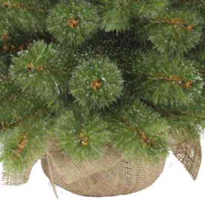 Искусственная сосна Triumph Tree Forest Frosted зеленая 0,6 м (8717669551874) Винница