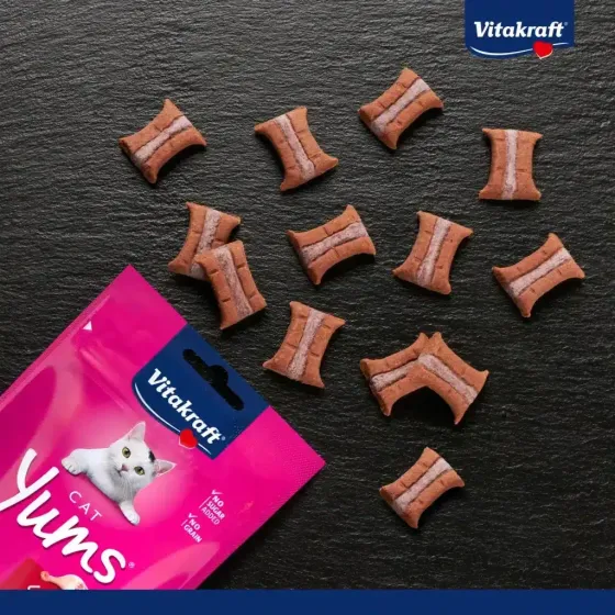 Мягкое лакомство для кошек Витакрафт Vitakraft Yums закуски с уткой и бузиной, 40 г Винница
