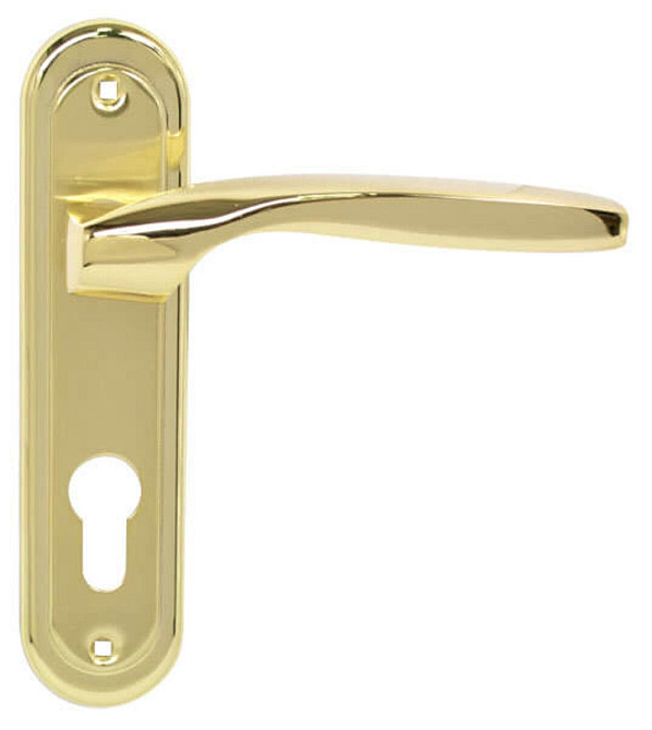 Ручка на планке RDA Arona пол латунь/мат латунь кл (под замок 1025 одноригельный) Киев - изображение 1