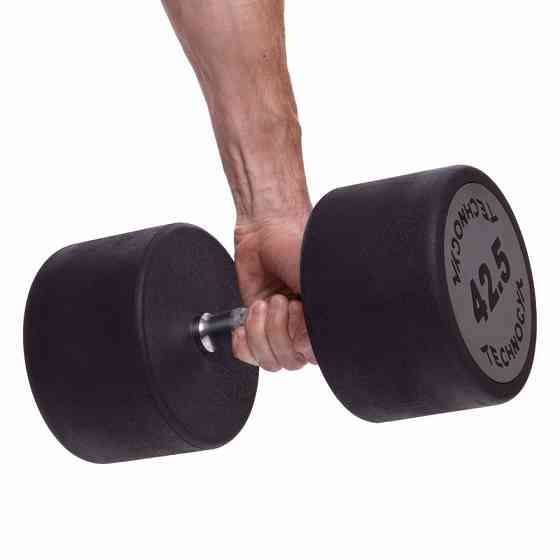 Гантель 42.5 кг суцільна професійна TECHNOGYM-1254-42_5 Гантелі, гирі, штанги та диски Київ