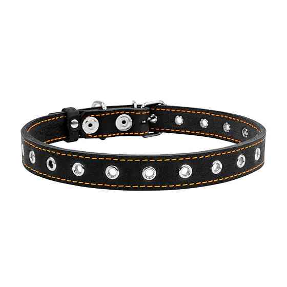 Нашийник "CoLLaR" безрозмірний (ширина 20мм, довжина 50см) чорний Київ