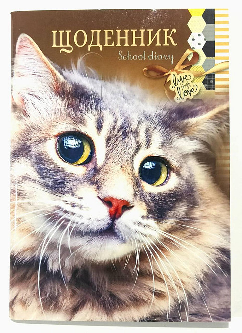 Щоденник шкільний "Мандарин" 143*200 мм, 40 арк. скоба/м'яка обкл., 23032, шт Київ - фото 1