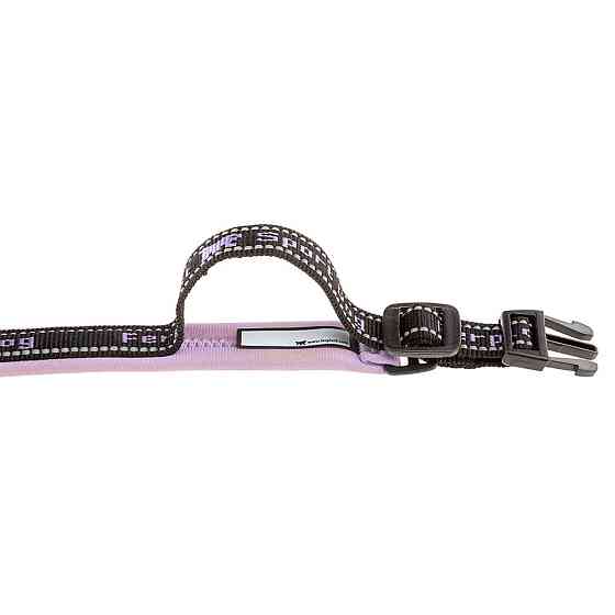 Кошійник для собак Ferplast Sport Dog C (Ферпласт Спорт Дог С) 450, Фіолетовий, 25 Запоріжжя