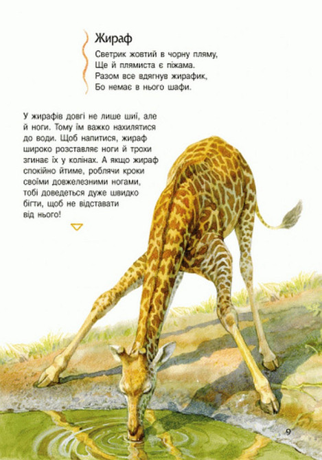 Детская энциклопедия про животных 614005 для дошкольников Винница - изображение 9