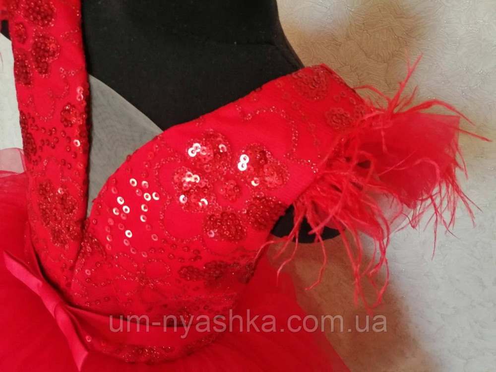 Детское нарядное платье удлиненное сзади красный 116-134 Кривой Рог - изображение 3