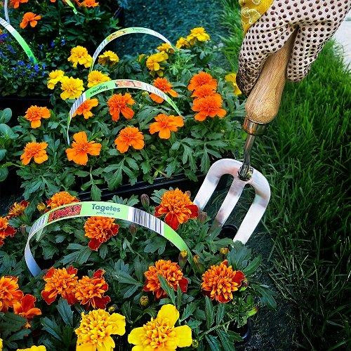 Вилка садові Gruntek Inox 310 мм Одеса - фото 3