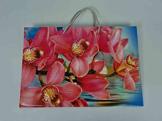 Бумажный большой горизонтальный пакет  36/22/10(артBG-021) (12 шт) Харьков