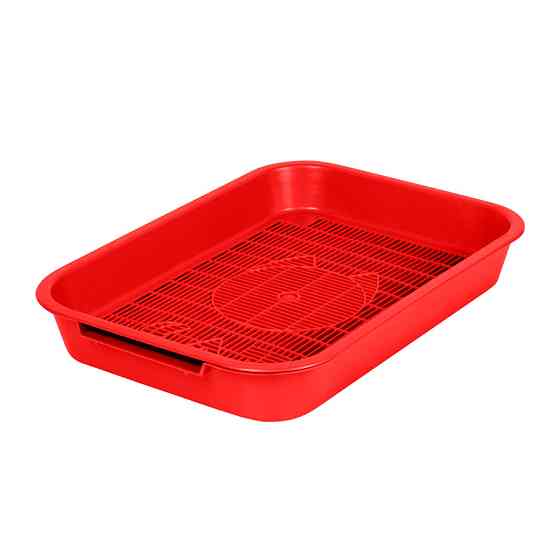 ТУАЛЕТ "CAT" Київ