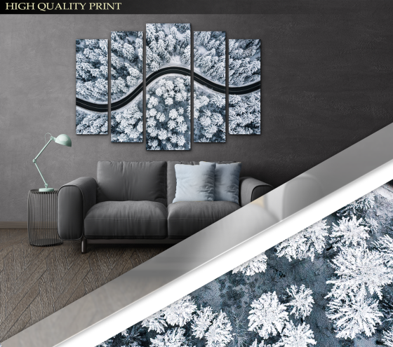 Модульна картина у вітальню / спальню Дорога в зимовому лісі Art-394_5 ( 80х118см ) Київ