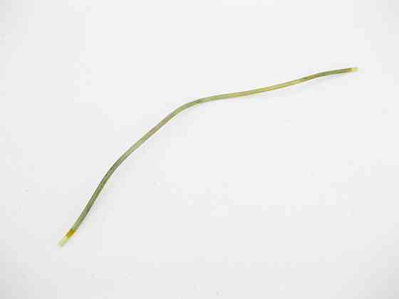 Mercedes-Benz  A0001581435 Пластикова трубка ваккумної системи Одеса