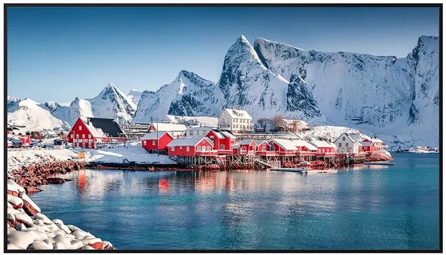 Монитор Panasonic 43" Wyświetlacz (TH43CQE2W) Київ - фото 1