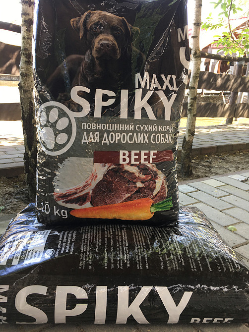 Сухий корм SPIKY Maxi Beef 10 кг — для дорослих собак, з яловичиною та овочами Київ - фото 1