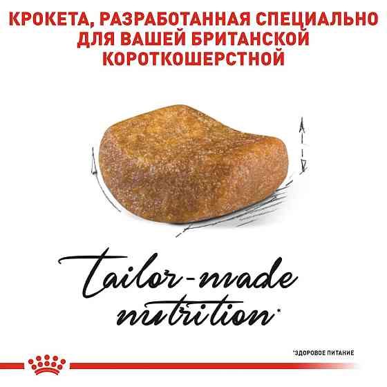 Royal Canin British Shorthair Adult (Рояв Канін Брітіш Шортхайр) корм для кішок британська короткошерсна 2 кг. Запоріжжя