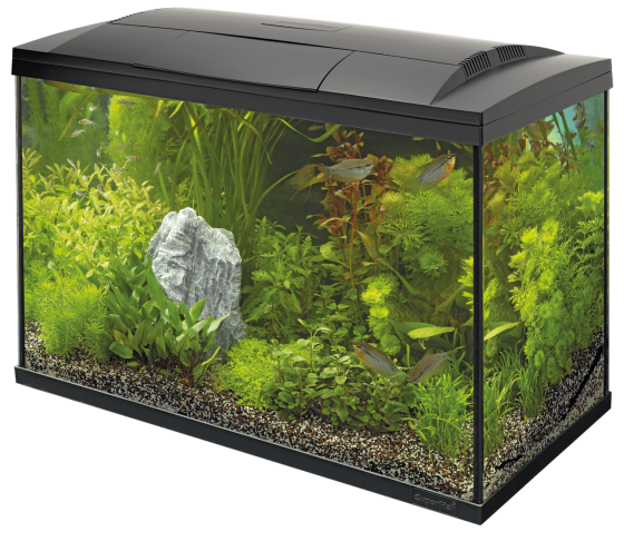 Акваріумний стартовий набір SuperFish Start 100 Aquarium Kit Black (A4050295) Київ