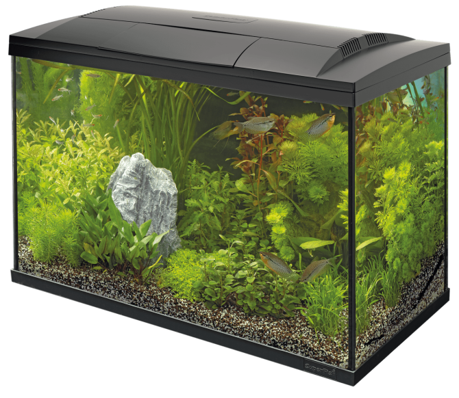 Акваріумний стартовий набір SuperFish Start 100 Aquarium Kit Black (A4050295) Київ - фото 1
