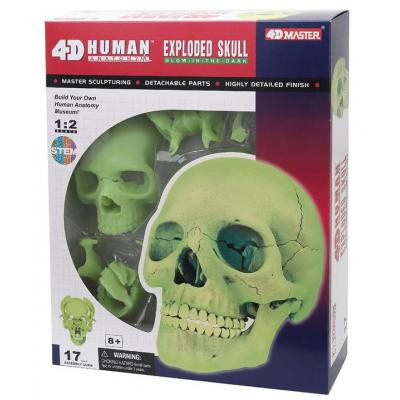 Пазл 4D Master Об&apos;ємна анатомічна модель Череп людини світиться (FM-626113) Вінниця - фото 1