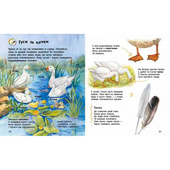 Енциклопедія дошкільника Домашні тварини 614029 для найменших Вінниця