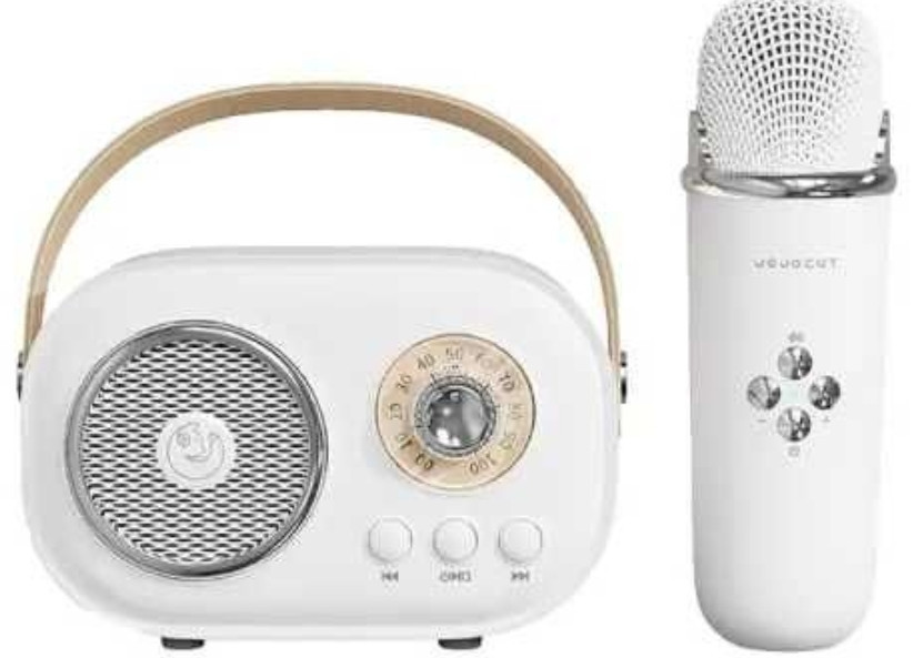 Колонка з мікрофоном PlatinumC-20 BT/TF/USB/FM Киев - изображение 6