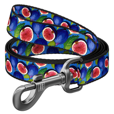 Повідець для собак WAUDOG Nylon "Інжир" L-XXL Ш 25 мм Д 122 см (342-4053) Вінниця - фото 1