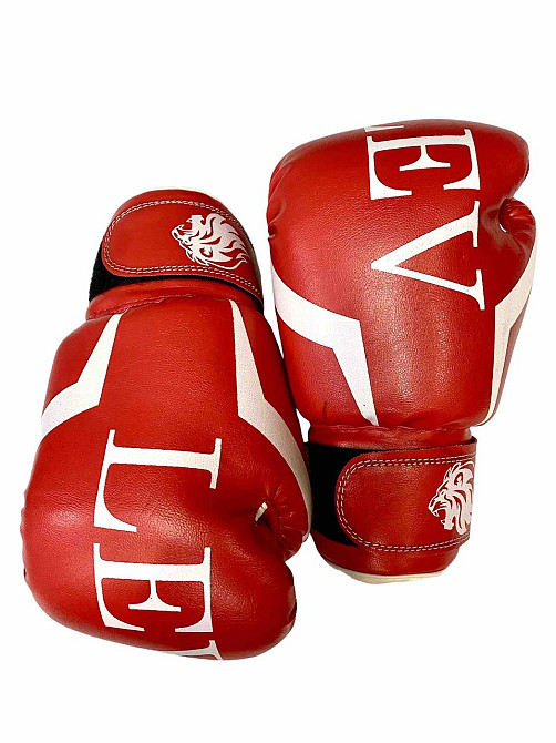 Перчатки боксерские LEV-SPORT кож\зам 10 oz Вишнёвое - изображение 3